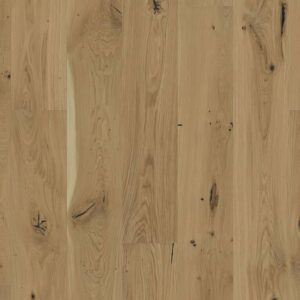 roble senses