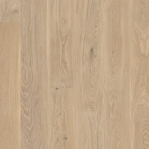 roble coral|roble coral