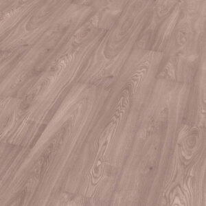 roble olimpo|roble olimpo