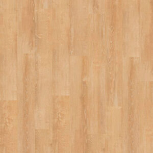 roble sarela|roble sarela