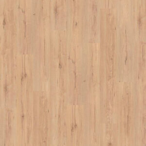 roble troya|roble troya